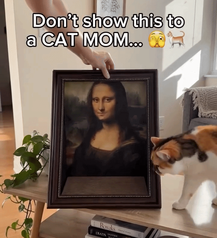 MonaKitty — The Cat Bed That Turns Your Cat Into a Masterpiece
